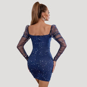 Sparkly mesh sleeve bodycon dress