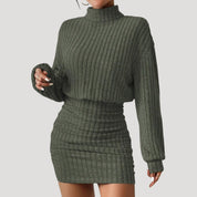 Women's ribbed knit turtleneck mini dress