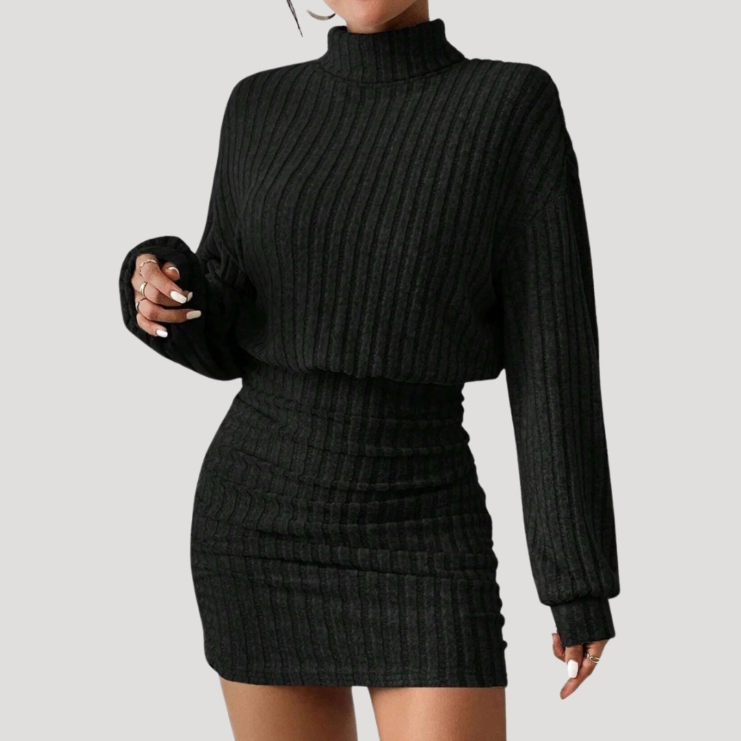 Women's ribbed knit turtleneck mini dress