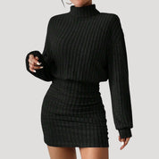 Women's ribbed knit turtleneck mini dress